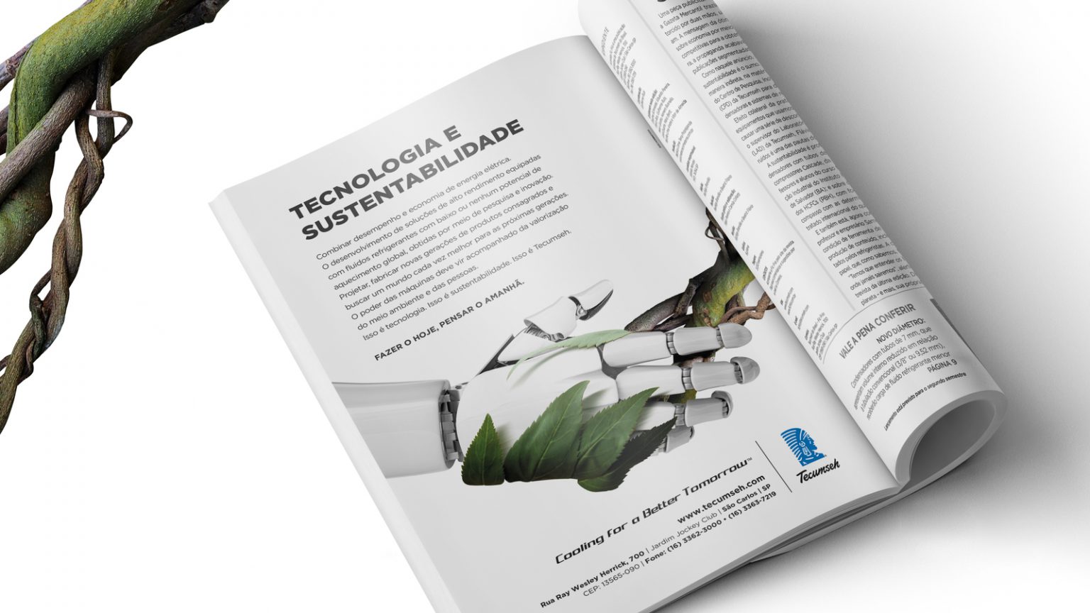 Portfólio Tecumseh Rebeca Come Terra