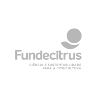 agencia-publicidade-marketing-araraquara-sao-paulo-marketing-digital-assessoria